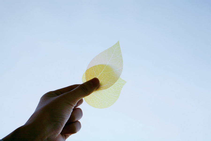 Flower Petal and Leaf Memos Leaf-Pink