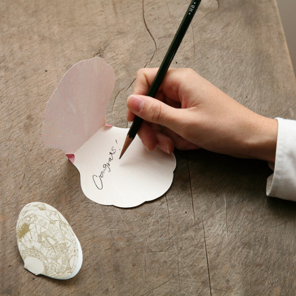 Shell Cards Paint M