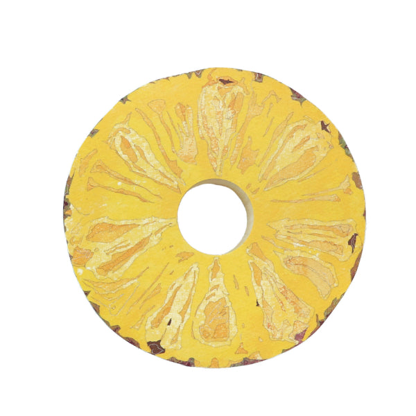 Fruits and Veggie Memo Blocks Fruit-Pineapple