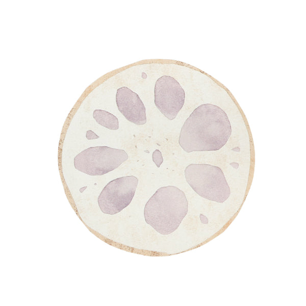 Fruits and Veggie Memo Blocks Veggies-Lotus Root