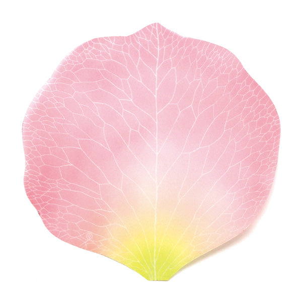 Flower Petal and Leaf Memos Flower Petal-Pink