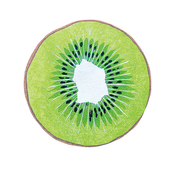 Fruits and Veggie Memo Blocks Fruit-Kiwi